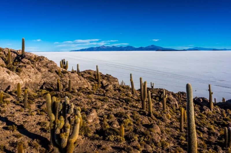 Uyuni Salt Flats Tour 1 Day + Sunset & Lunch - Experience Features