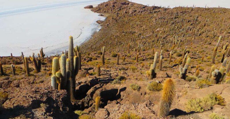 Uyuni Salt Flats With Accommodation-4d Full Tour-With Tunupa - Key Points
