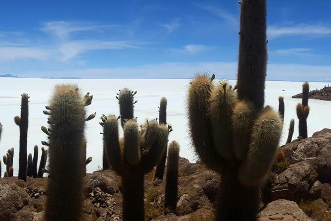 Uyuni Saltflat From San Pedro De Atacama ROUNDTRIP or ONE WAY to Uyuni - Reviews and Pricing