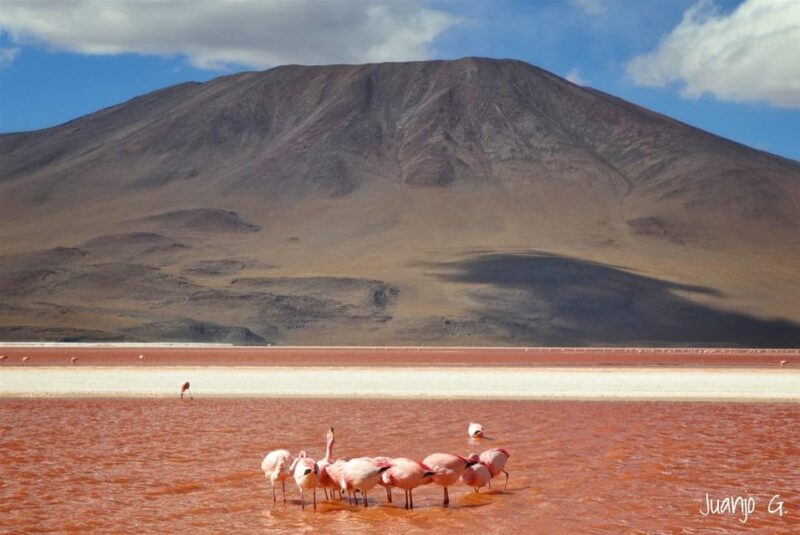 Uyuni Standard Tour - 3 Days - Travel Considerations
