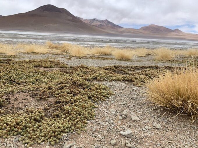 Uyuni Standard Tour - 3 Days - Cancellation Policy