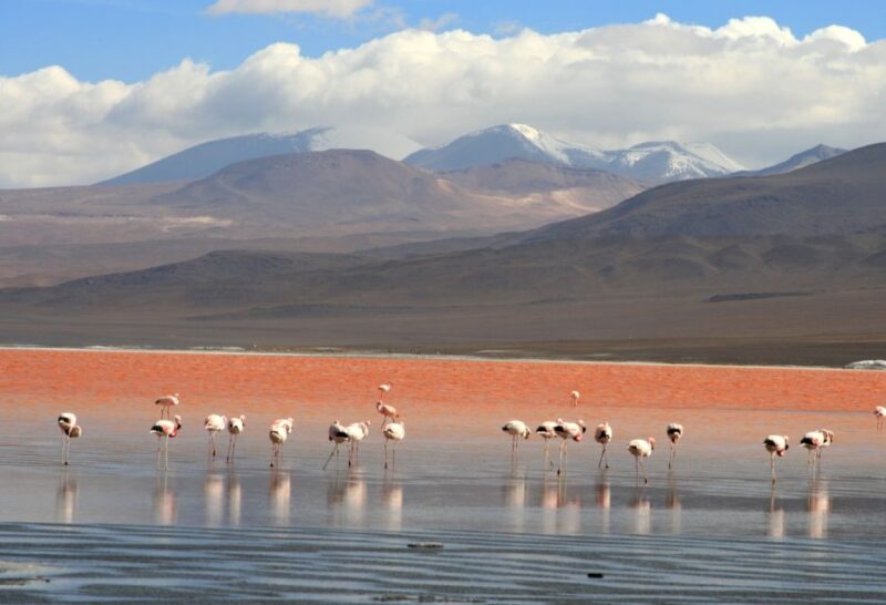 Uyuni: Uyuni Salt Flats and Red Lagoon 3-Day Tour - Key Points
