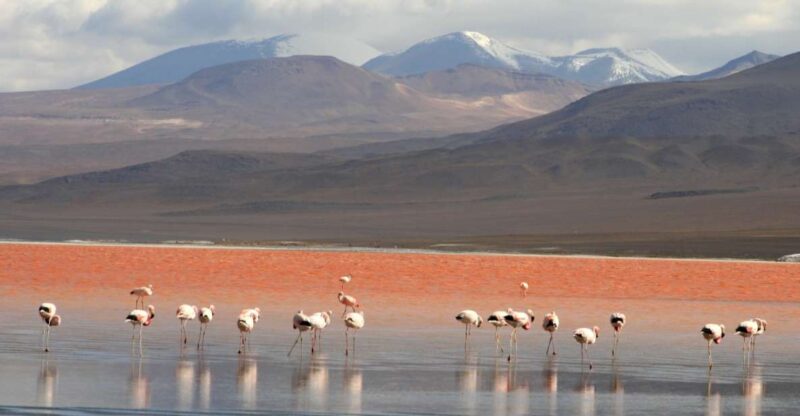 Uyuni: Uyuni Salt Flats and Red Lagoon 3-Day Tour - Itinerary Highlights: Day 2