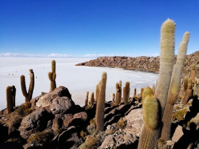 Uyuni:Jeep Day Trip to Incahuasi Island and Uyuni Salt Flats - Photography and Experience