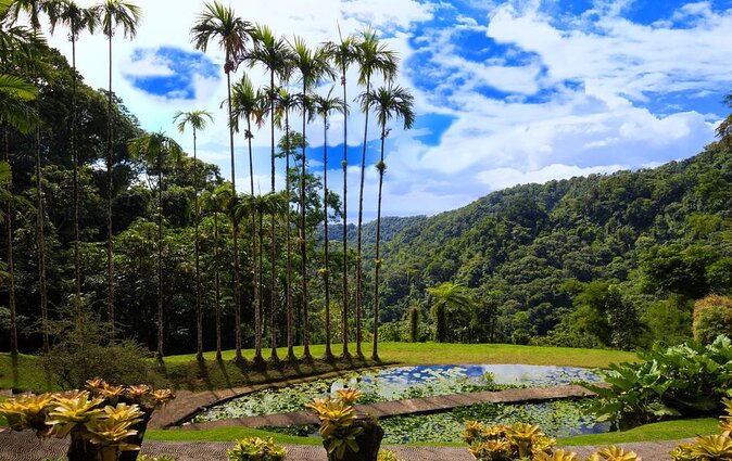 V.I.P Green Escape 1- Botanical Garden - About Your Stay