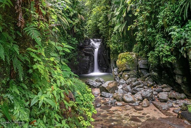 V.I.P Green Escape 1- Botanical Garden - Inclusions and Meeting