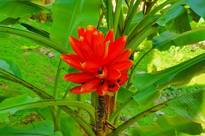 V.I.P Green Escape 2-Zoo De Martinique - Inclusions and Exclusions