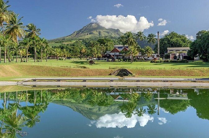V.I.P North Caribbean deep forest Tour -The Green Martinique - What Reviewers Say