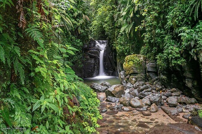 V.I.P North Caribbean deep forest Tour -The Green Martinique - FAQ