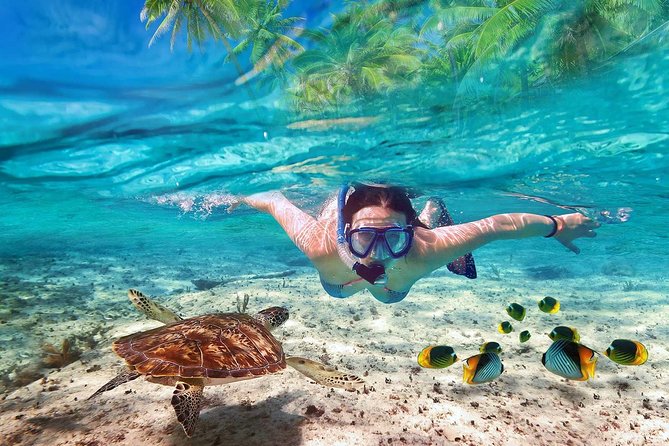 V.I.P Snorkeling & Fishing Tour ( Speed Boat ) Minimum 02 People - Snorkeling at Mun Island