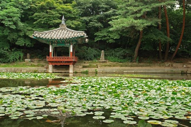 Vacation Photographer in Seoul - Good To Know