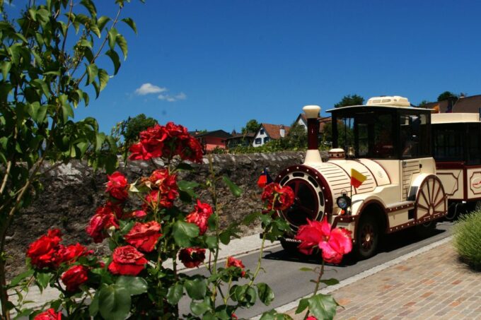 Vaduz: City Train Tour - Blending of Modern and Historical Elements