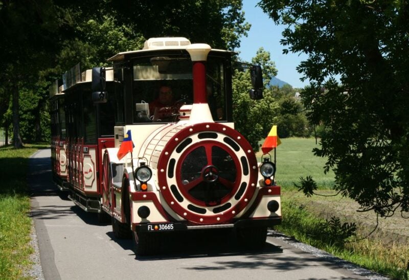 Vaduz: City Train Tour - Language Options for the Tour