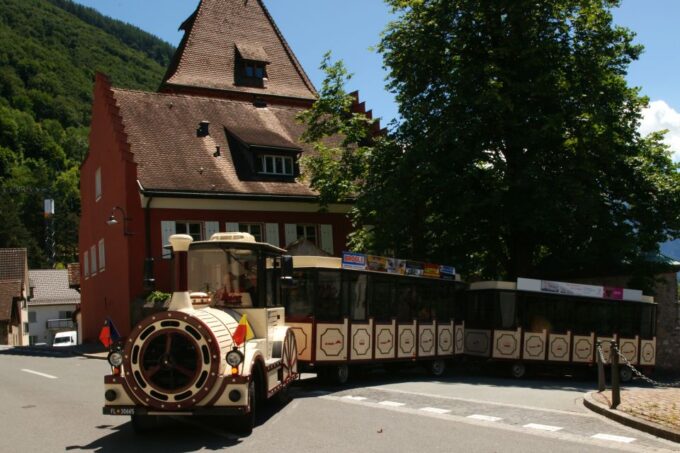Vaduz: City Train Tour - Customer Feedback and Experience