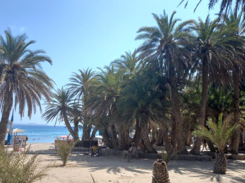 Vai Palm Beach Full Day Private Tour - Experience and Luxury