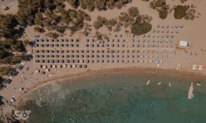 Vai Palm Beach, Toplou Monastery and Sitia Guided Tour - Customer Feedback