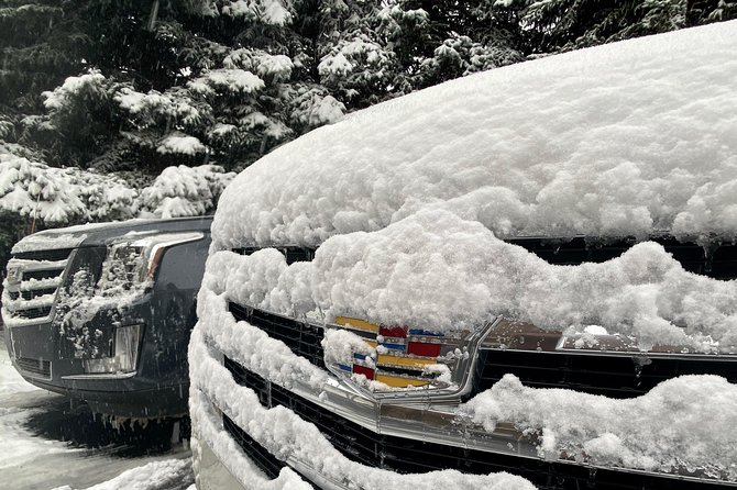 Vail to Denver Airport Shuttle One Way - Operating Hours and Availability
