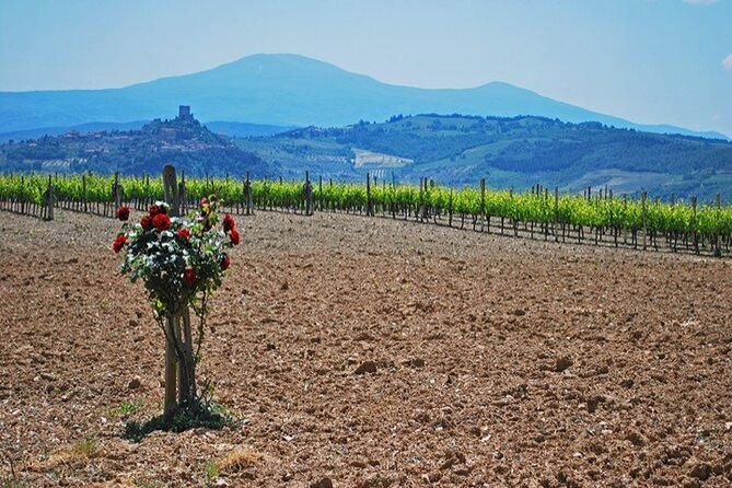 Val D Orcia Gourmet Food Tour From Siena - About Your Stay