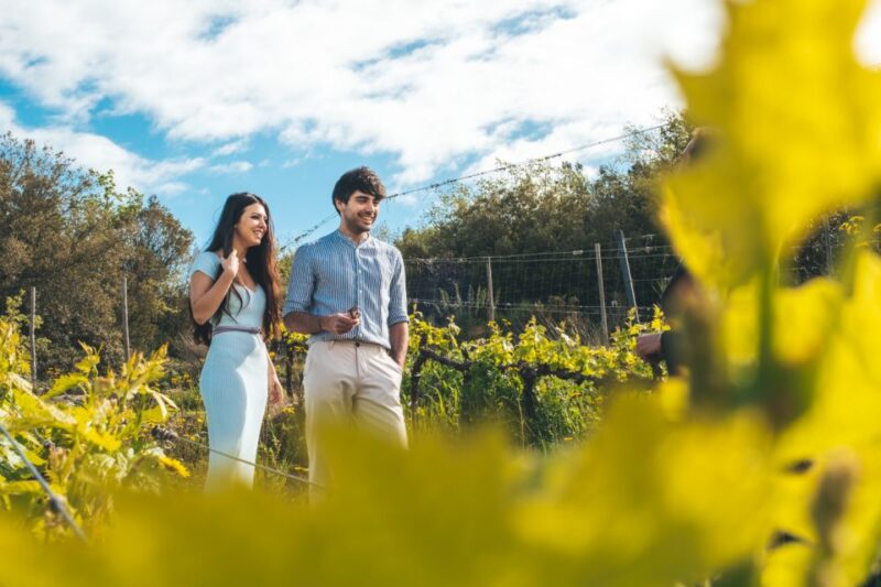 Val Dorcia: Wine and Food Tasting at a Podere - Pricing and Cancellation Policy