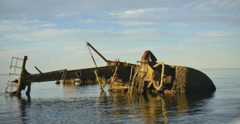 Valdés Peninsula: Historical and Nature Boat Tour Pto. Madryn - Key Points