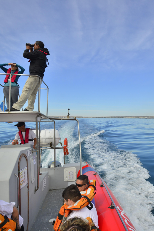 Valdés Peninsula: Historical and Nature Boat Tour Pto. Madryn - Itinerary and Experience