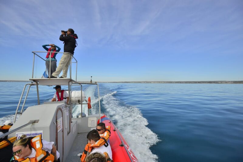 Valdés Peninsula: Historical and Nature Boat Tour Pto. Madryn - Environmental Focus and Education