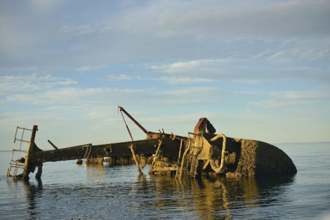 Valdés Peninsula: Historical and Nature Boat Tour Pto. Madryn - Guided Tours and Highlights