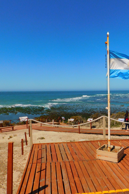 Valdés Peninsula Shore Excursions Tours - Tour Itinerary