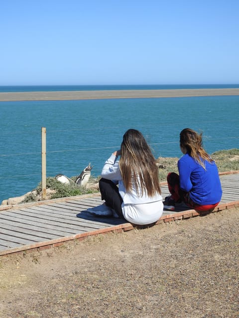 Valdés Peninsula Shore Excursions Tours - Accessibility and Amenities