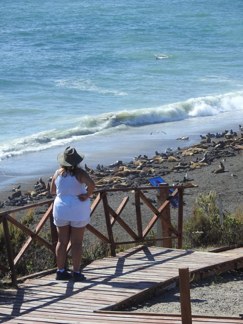 Valdés Peninsula Shore Excursions Tours - Cancellation Policy