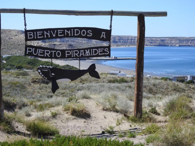 Valdés Peninsula Shore Excursions Tours - Frequently Asked Questions