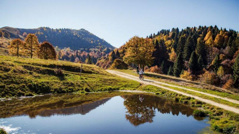 Valdobbiadene: Guided E-Bike Tour in Prosecco Hills - Key Points