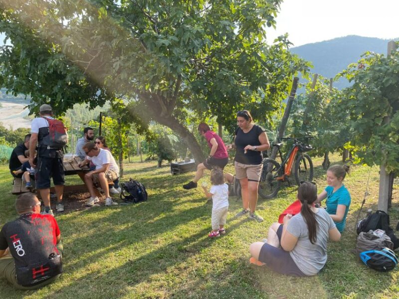 Valdobbiadene: Guided E-Bike Tour in Prosecco Hills - Customer Reviews and Feedback