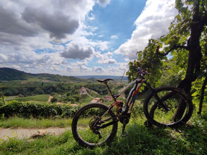 Valdobbiadene: Guided E-Bike Tour in Prosecco Hills - Group and Private Options