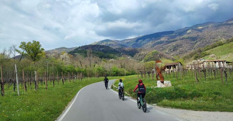 Valdobbiadene Hills: E-Bike Tour With Food&Wine Tasting - Key Points