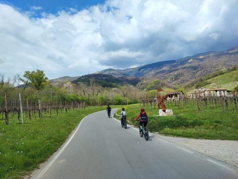 Valdobbiadene Hills: E-Bike Tour With Food&Wine Tasting - Culinary Delights