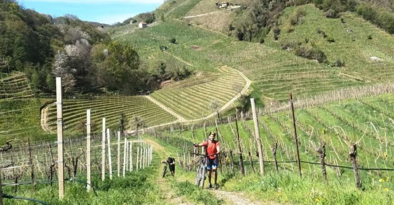 Valdobbiadene - Prosecco Hills Cycling With Sommelier - Itinerary and Experience
