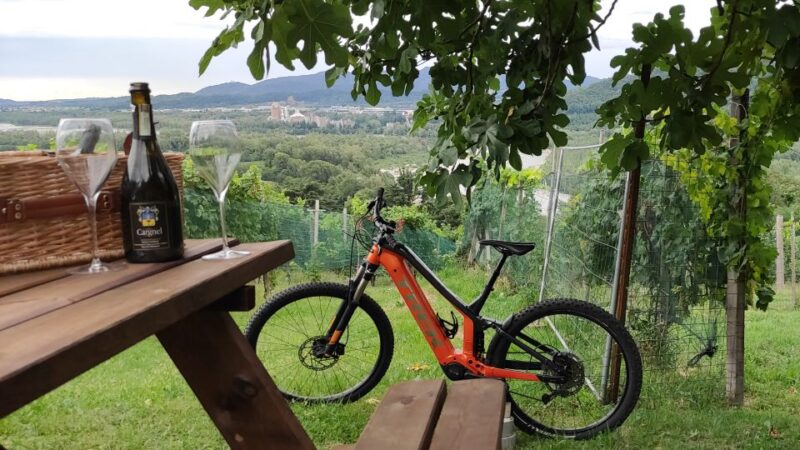 Valdobbiadene - Prosecco Hills Cycling With Sommelier - Wine Tasting and Sommelier Interaction