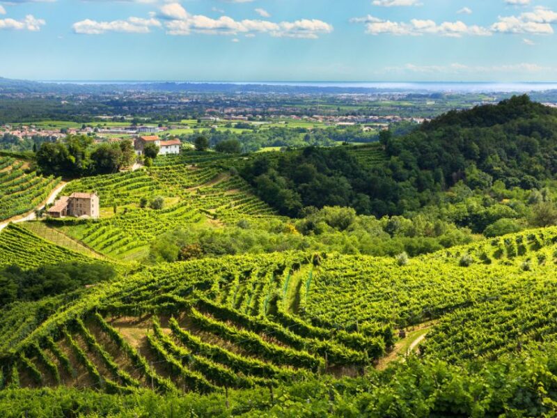 Valdobbiadene - Prosecco Hills Cycling With Sommelier - Biking Experience and Equipment