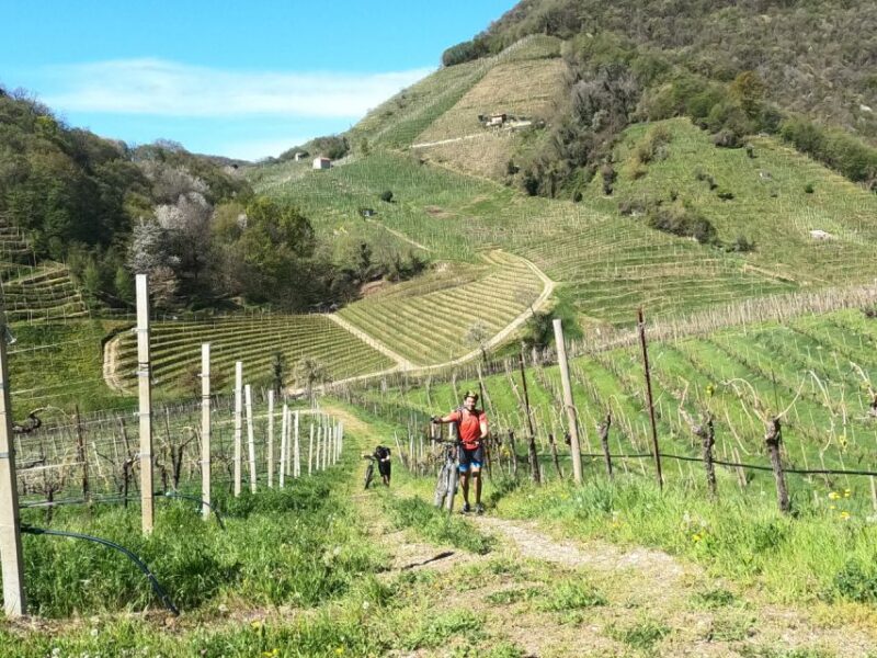 Valdobbiadene - Prosecco Hills Cycling With Sommelier - Participant Requirements and Recommendations