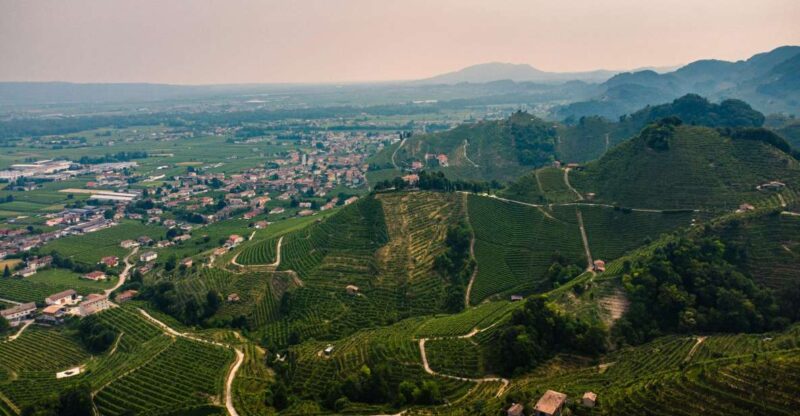Valdobbiadene: Prosecco Private Tour & Taste With Sommelier - Wine Tastings