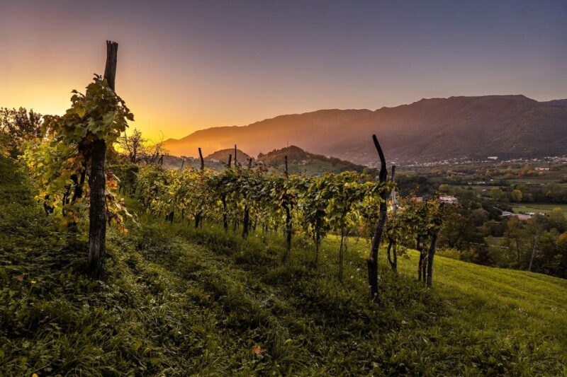 Valdobbiadene: Prosecco Private Tour & Taste With Sommelier - Main Stops