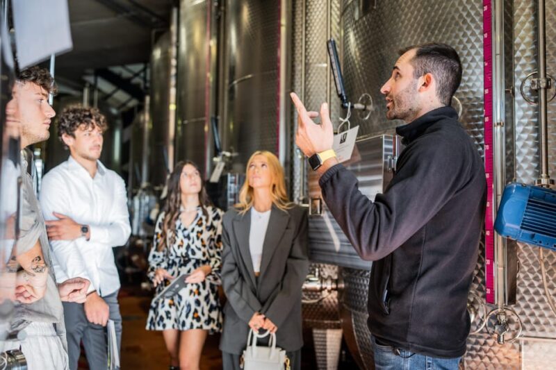 Valdobbiadene: Prosecco Tasting Experience - The Prosecco Selection