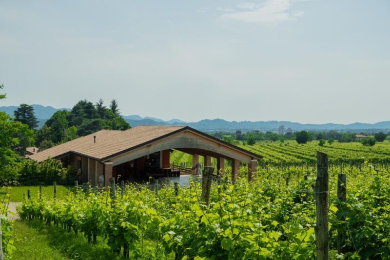 Valdobbiadene: Prosecco Tasting Experience - Scenic Views of Valdobbiadene