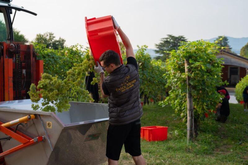 Valdobbiadene: Prosecco Tasting Experience - Important Information for Visitors