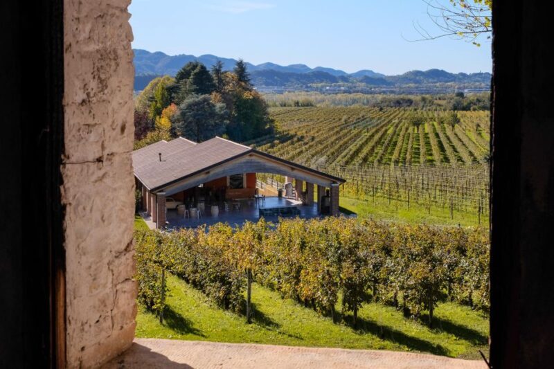 Valdobbiadene: Prosecco Tasting Where Art Meets Wine - Overview of the Experience