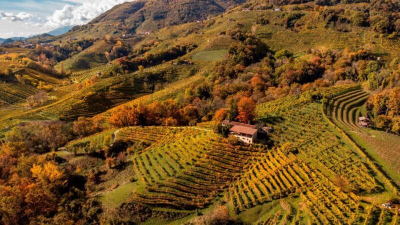 Valdobbiadene:Prosecco Superiore Hills Tour With Winetasting - Activity Highlights