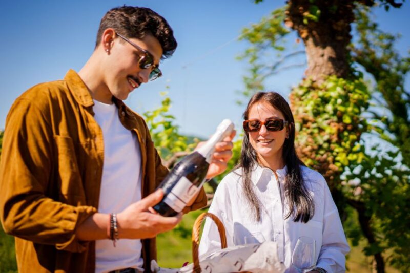Valdobbiadene:Prosecco Superiore Hills Tour With Winetasting - Traveler Reviews