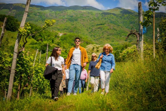 Valdobbiadene:Prosecco Superiore Hills Tour With Winetasting - Frequently Asked Questions