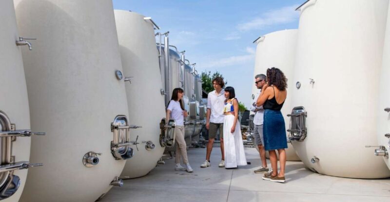 Valdobbiadene:Prosecco Tasting,Appetizers,Winery & Vineyard - Itinerary and Location